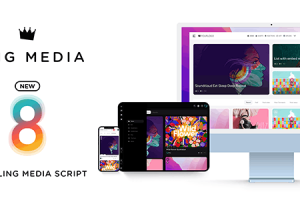 King (v9.5.5) Viral Magazine WordPress Theme (Activated)