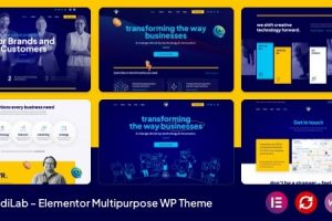 LadiLab v1.0.4 Elementor Multipurpose WordPress Theme