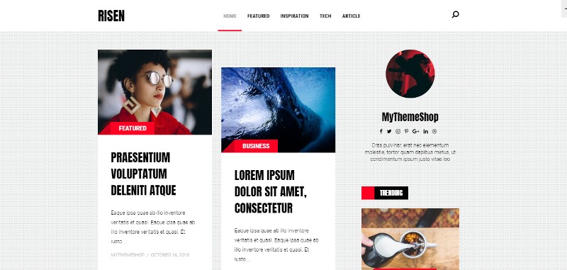 MyThemeShop Risen WordPress Theme v.1.1.3