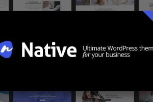 Native - 时尚多用途创意 WP 主题 1.6.97