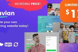 Navian (v1.5.4) Multi-Purpose Responsive WordPress Theme