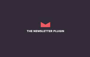 (Activated) Newsletter Premium v8.6.6 (Agency Bundle) v4.9.8 + All Addons PackAPI