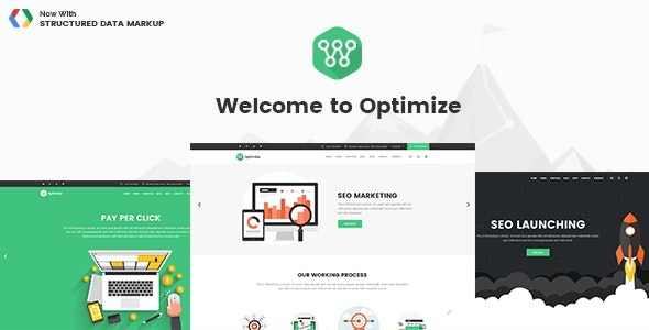 Optimize v2.1 SEO & Social Media Theme