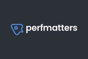 Perfmatters (v2.3.8) Lightweight WordPress Performance Plugin [Activated]