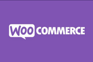 Flexible Pricing WooCommerce v1.5.8 by WpDesk