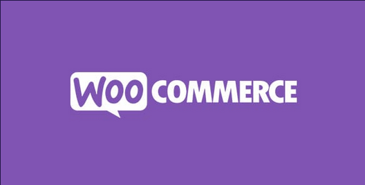 Automatic Payment Status WooCommerce v1.7.8 by WpDesk