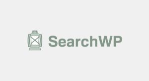 SearchWP 4.3.18 + Addons [Activated]