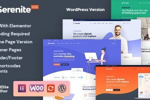 Serenite (v1.0.4) Startup & SaaS WordPress Theme