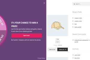 Spin Wheel For WooCommerce 1.8.0