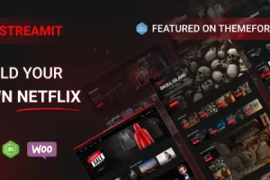 Streamit v3.4.8 Video Streaming WordPress Theme + RTL