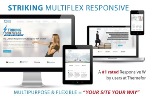 Striking (v2.4.2) MultiFlex & Ecommerce Responsive WP Theme