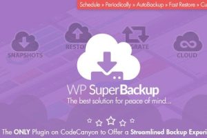 Super Backup & Clone v2.4 Migrate for WordPress