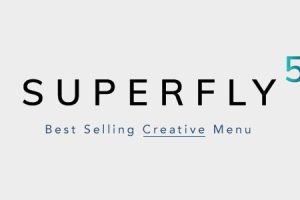 Superfly – 响应式 WordPress 菜单插件 5.0.30