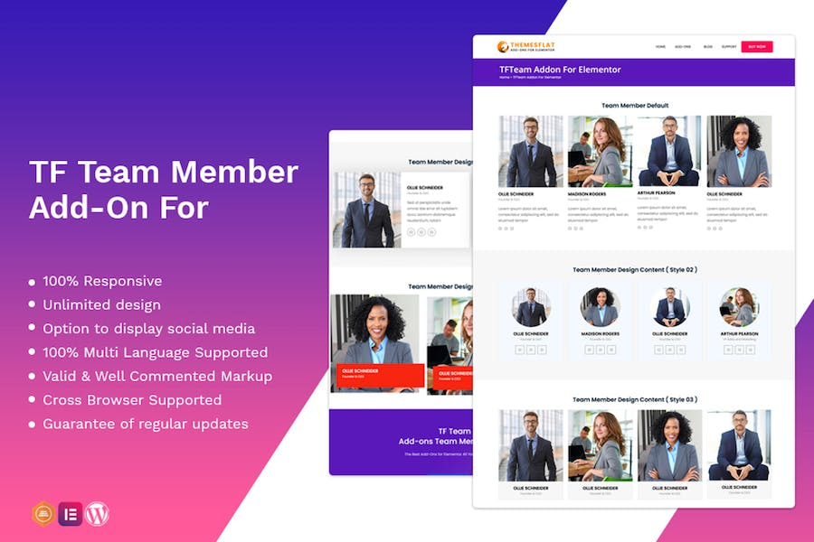 TfTeam v1.0.4 – Team Member widget For Elementor