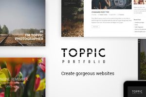 TopPic – 作品集摄影主题 4.3.3