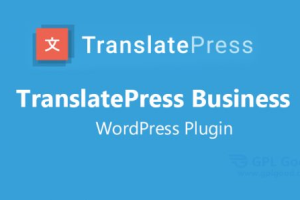 TranslatePress Pro v2.9.2 + Business v1.5.1 [Activated*]