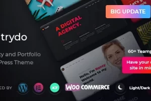 Trydo (v1.6.2) Creative Agency & Portfolio WordPress Theme