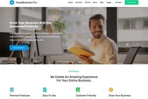 VisualBusiness Pro v1.0.7