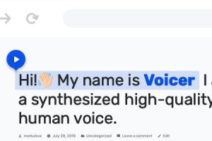Voicer v3.3.0 – Text to Speech Plugin for WordPress