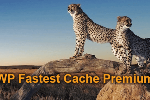 WP Fastest Cache Premium v1.7.2