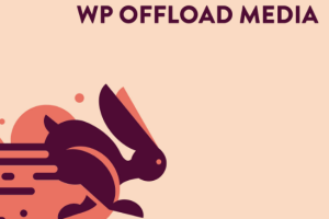 WP Offload Media Pro 3.2.11 + Plugins Assets Pull Addon 1.1.2