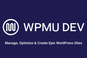 WPMU DEV Branda Pro 3.4.23 (Ultimate Branding)