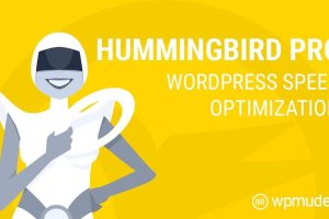 WPMU DEV Hummingbird Pro v3.11.0 [Activated]