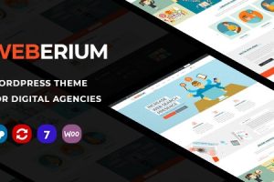 Weberium – 数字代理和 SEO WordPress 主题 1.30