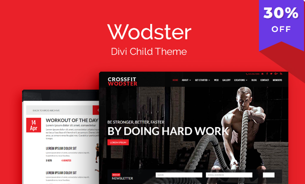 Wodster Theme v1.1.7 [Wp Zone]