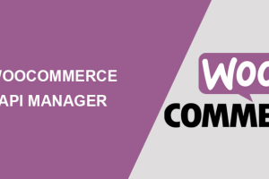 WooCommerce API Manager 3.3.5