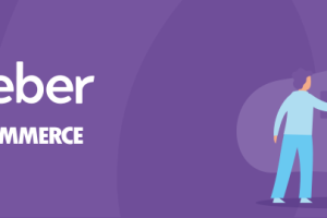WooCommerce Aweber Newsletter 4.0.4
