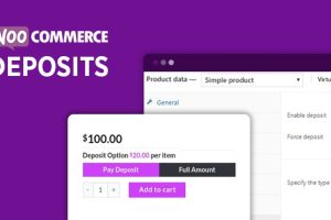 WooCommerce Deposits (v2.3.6)