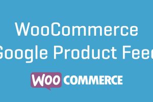 WooCommerce Google Product Feeds 11.0.18