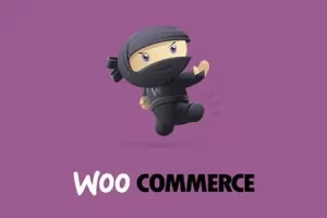 Woocommerce Msrp Pricing 4.1.0
