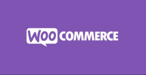 WooCommerce Google Analytics Pro 2.2.0