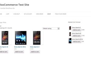 WooCommerce Products of the Day v1.2.1