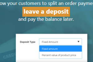 v2.28.0 YITH WooCommerce Deposits and Down Payments Premium [Original Version Number**] Activated