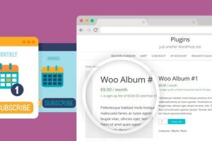 YITH WooCommerce Subscription Premium v4.11.0