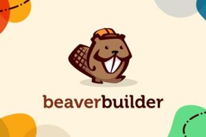 Beaver Builder PRO (Agency) (v2.8.6.1) + Theme v1.7.17.1