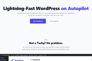 FlyingPress (v4.16.4) Taking WordPress To New Heights (Activated)