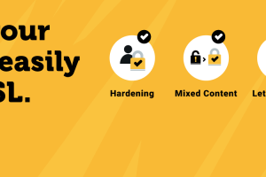 Really Simple SSL Pro (v9.2.0) really simple Security pro [Activated]