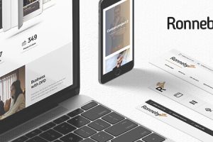 Ronneby v3.5.63 (Activated) High-Performance WordPress Theme