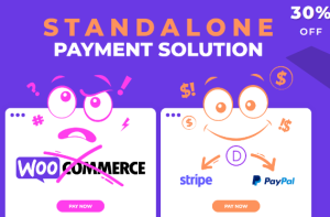 Simple Payment Module for Divi v1.1.11 [Wp Zone]