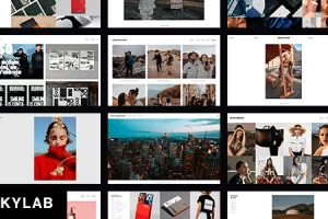 Skylab v3.9.6 Portfolio Photography WordPress Theme (Activated)