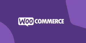WooCommerce Product Reviews Pro 1.19.3