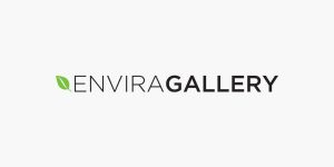 Envira Gallery Pro 1.10.1 + 所有插件包 [已激活]