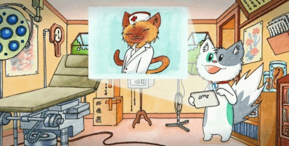 Meow Lightbox Pro v5.2.6 [Activated]