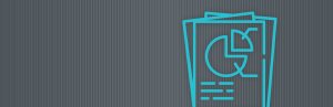 WP Client Reports Pro 1.0.16