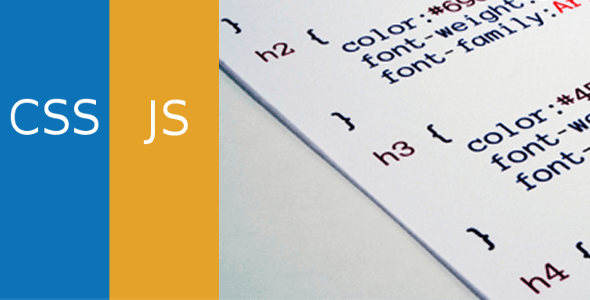 Simple Custom CSS and JS PRO v4.40