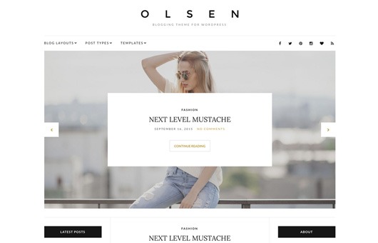 CSS Igniter Olsen Pro v2.8.5 WordPress Theme
